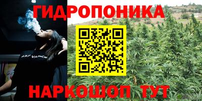 ПСИЛОЦИБИНОВЫЕ ГРИБЫ Канаш