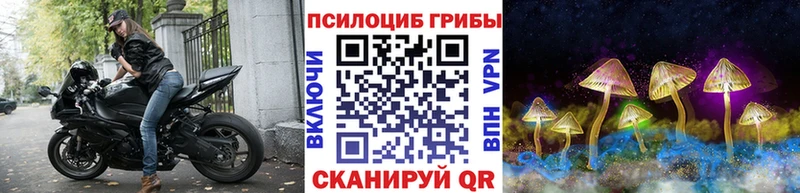 Псилоцибиновые грибы Psilocybine cubensis  Асбест 